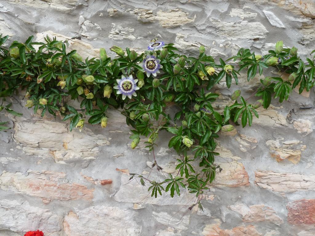 Posada El Pozo Castañedo Dış mekan fotoğraf